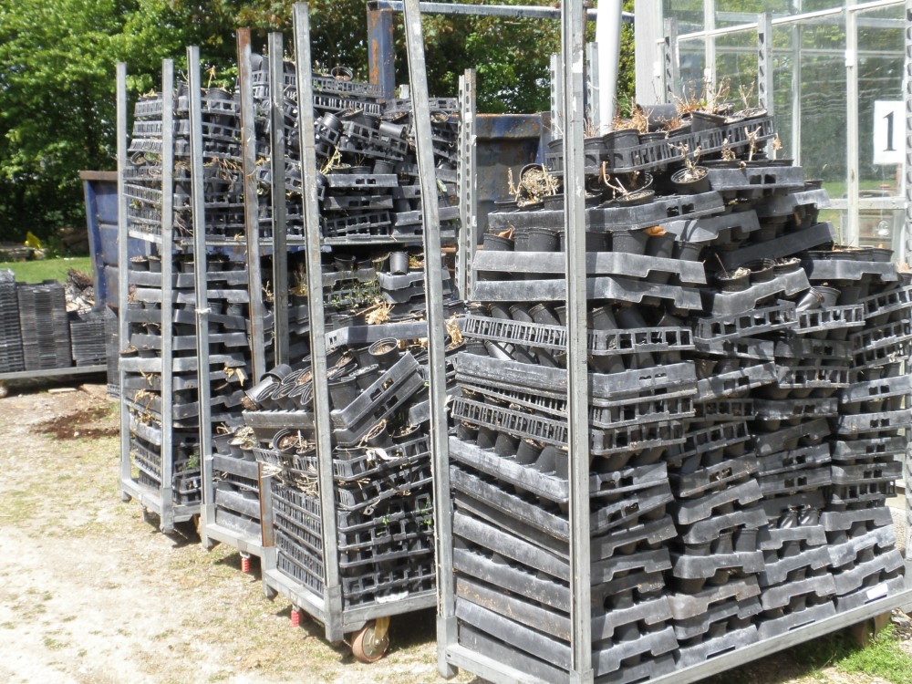Pots for reuse after cleaning. © ADAS Horticulture